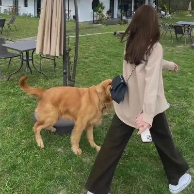 荣誉传承